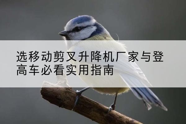 江源电动升降机厂家-选移动剪叉升降机厂家与登高车必看实用指南