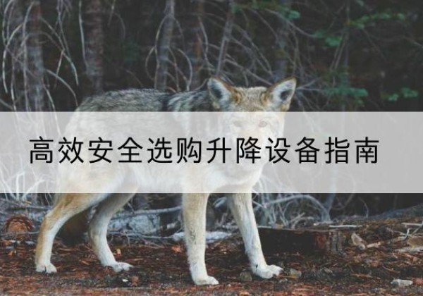 江源升降货梯厂家推荐-*安全选购升降设备指南